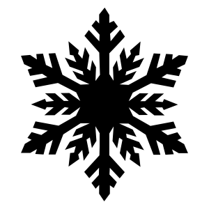 Black snowflake icon